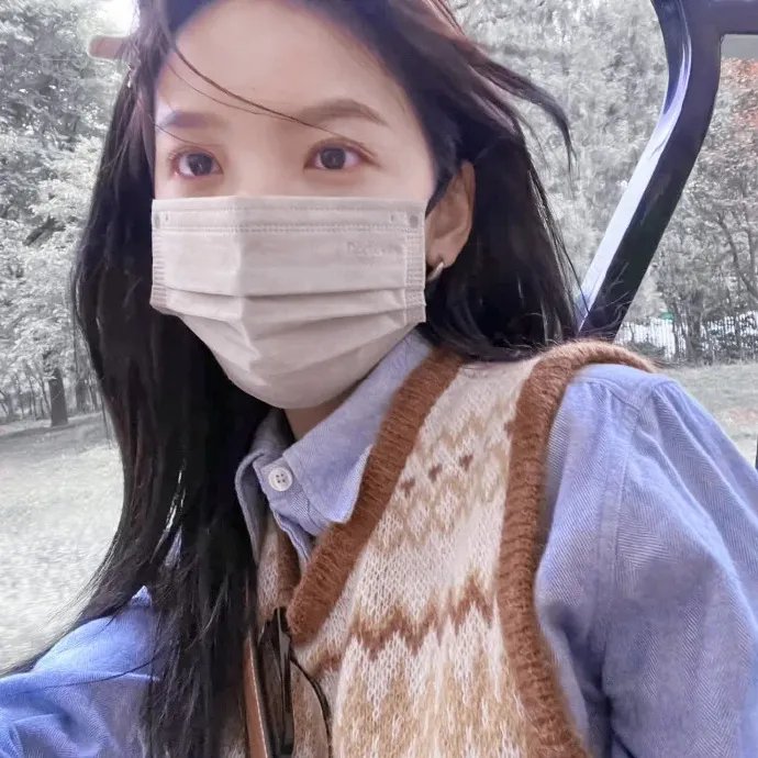 好莱坞狗日子